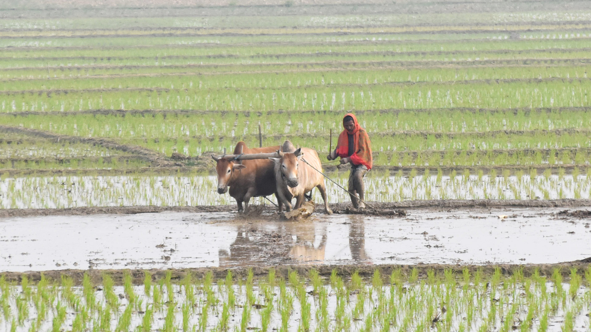 দিনের ছবি (০৩ ফেব্রুয়ারি, ২০২৩)