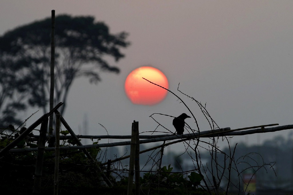 বছরের শেষ সূর্যাস্ত