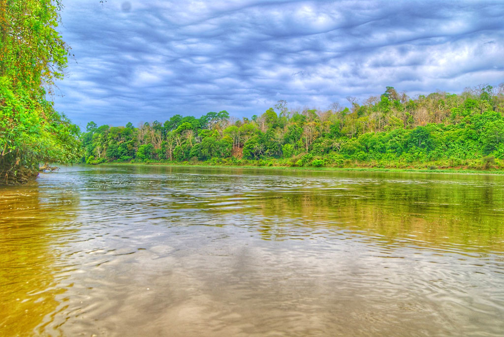 ঘুরে আসুন কাপ্তাইয়ের অরণ্যে