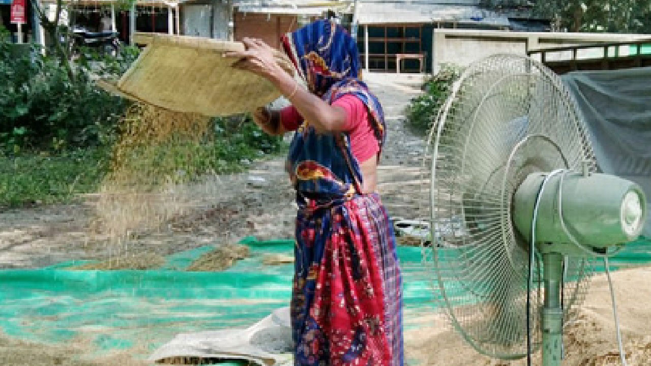 ফ্যান দিয়ে ধান ওড়াতে গিয়ে বিদ্যুতায়িত হয়ে স্বামী-স্ত্রীর মৃত্যু