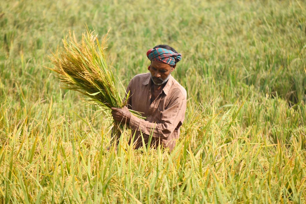 স্মার্ট কার্ডের আওতায় আসবেন কৃষকেরা