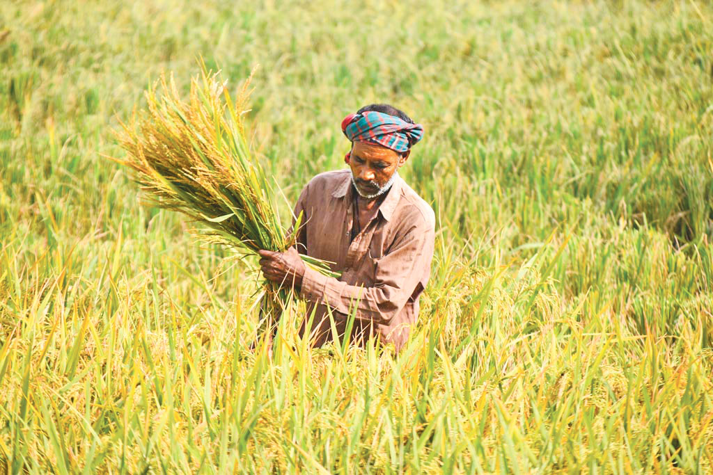 অতিরিক্ত ভোগস্পৃহা ও পরিবেশ বিপর্যয়
