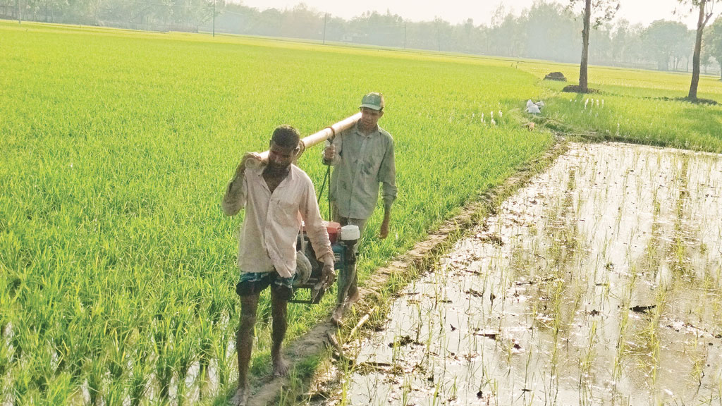 শক্তিশালী গ্রামীণ অর্থনীতির জন্য প্রয়োজন কৃষকের প্রাতিষ্ঠানিক স্বীকৃতি