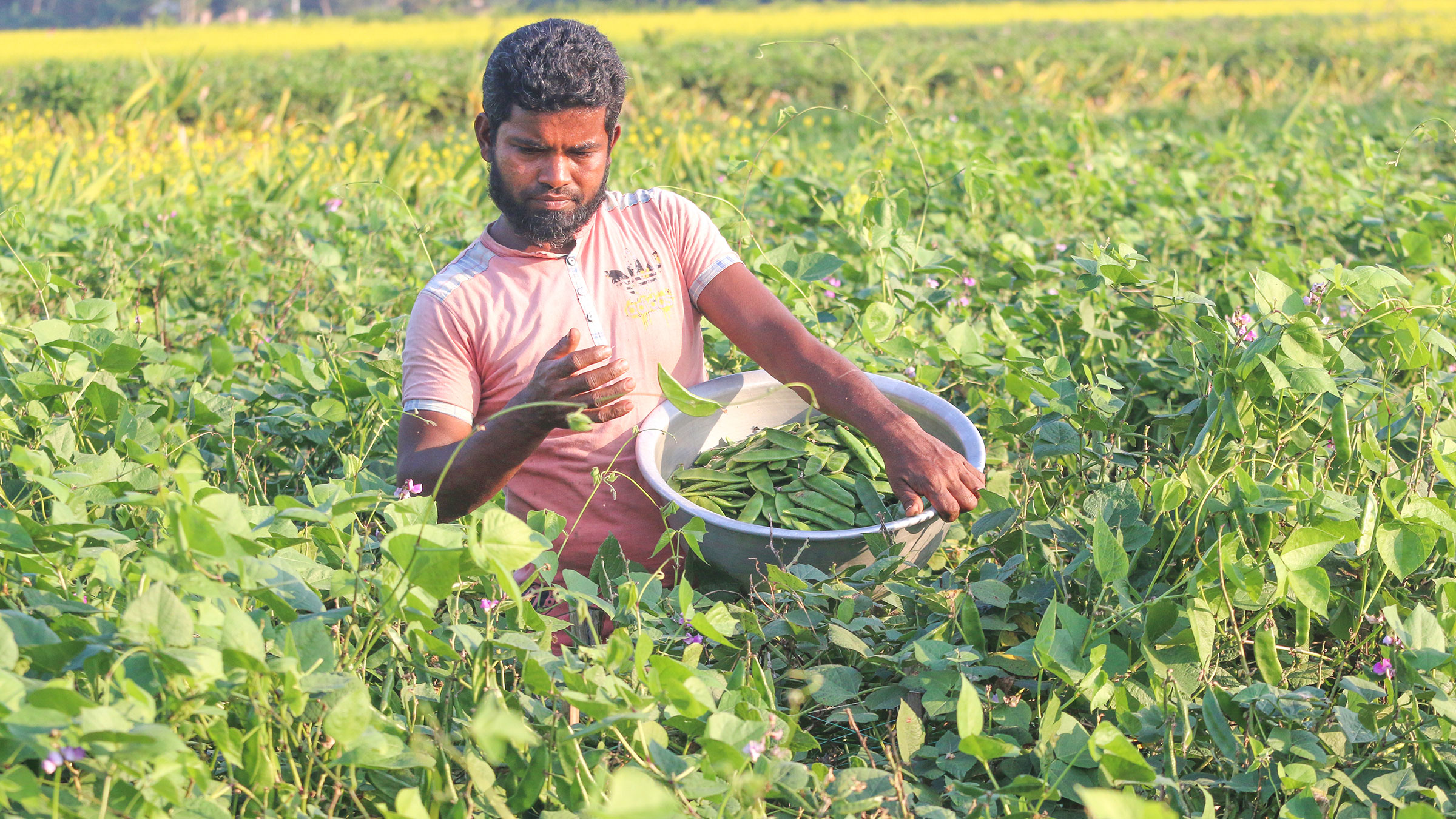 সহজ কৃষিঋণ ও দক্ষ কৃষক চাই