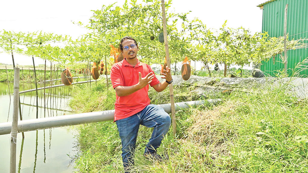 পুকুরে মাছ আর পাড়ে ফল-ফসল