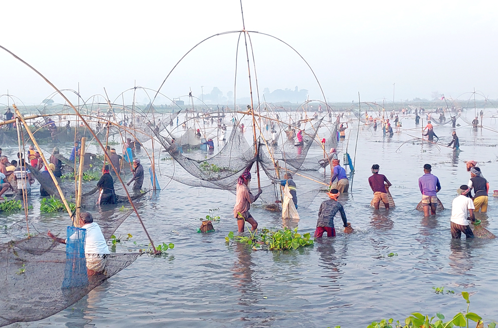 নানা রকম জাল আর জাংলার বেড়াজালে আটকে মাছগুলোকে ডাঙায় তোলার চেষ্টা।