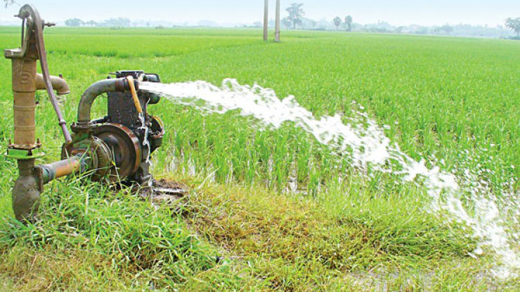 বড়াইগ্রামে এক রাতে ৯ সেচযন্ত্র চুরি, ক্ষতির মুখে ৩০০ বিঘার জমির ফসল 