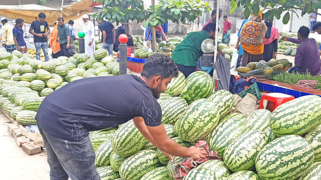 তরমুজের বিক্রি বাড়ছে আসমানিয়ার হাটে