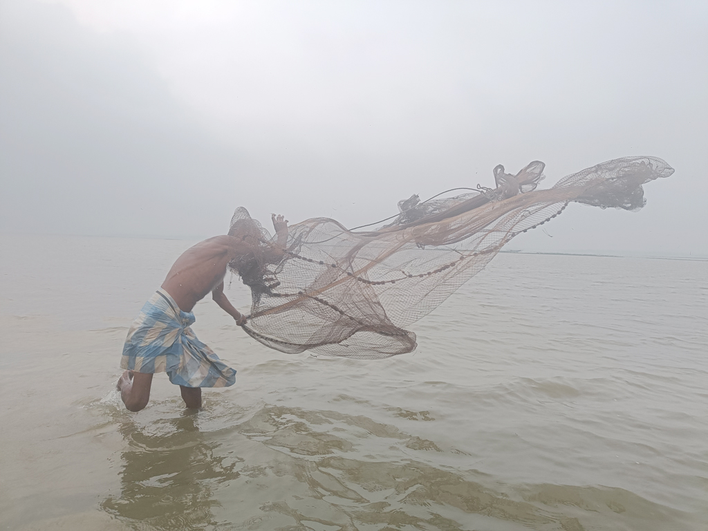 গত কয়েক দিনের বৃষ্টিতে পানি বেড়েছে নদী ও খাল-বিলে। মাছও ধরা পড়েছে বেশ। তাই জাল দিয়ে মাছ শিকার করছেন তোরাবালি মিয়া। সরাইল উপজেলার বরইচারা এলাকা একটি বিল, ব্রাহ্মণবাড়িয়া, ৮ অক্টোবর ২০২৩। ছবি: এম মনসুর আলী