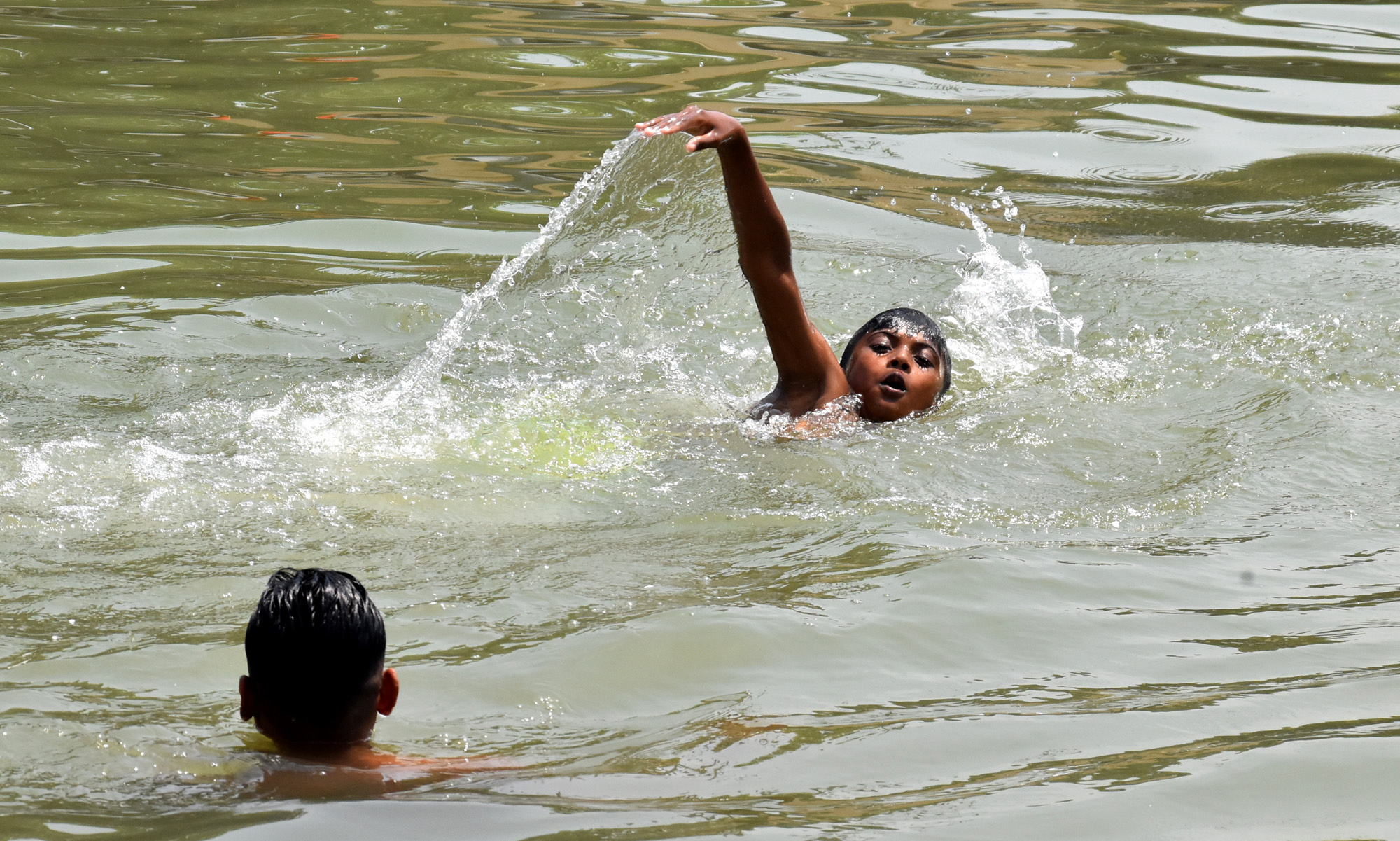 রাজশাহীর ওপর দিয়ে বয়ে যাচ্ছে মাঝারি তাপপ্রবাহ। ভ্যাপসা গরমে নাভিশ্বাস। গরমে থেকে স্বস্তি পেতে পুকুরে লাফালাফি ও সাঁতার কাটছে শিশু-কিশোরেরা। রাজশাহী বিশ্ববিদ্যালয়ে একটি পুকুরে, ৫ এপ্রিল, ২০২৪। ছবি: মিলন শেখ