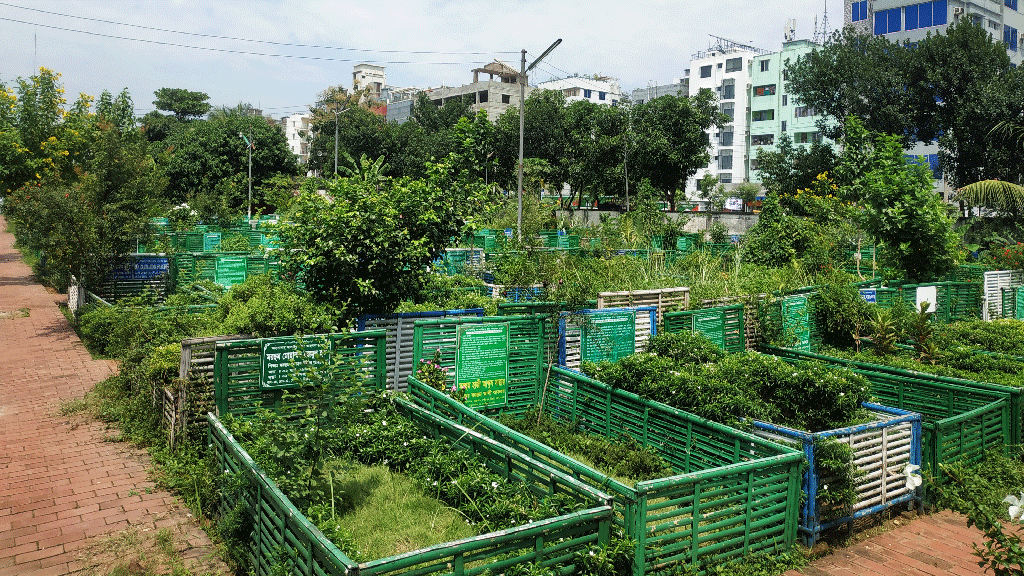 মুক্তিযোদ্ধাদের কবরস্থানের জন্য ডিএনসিসিতে ১ দশমিক ৫ একর জায়গা সংরক্ষণ