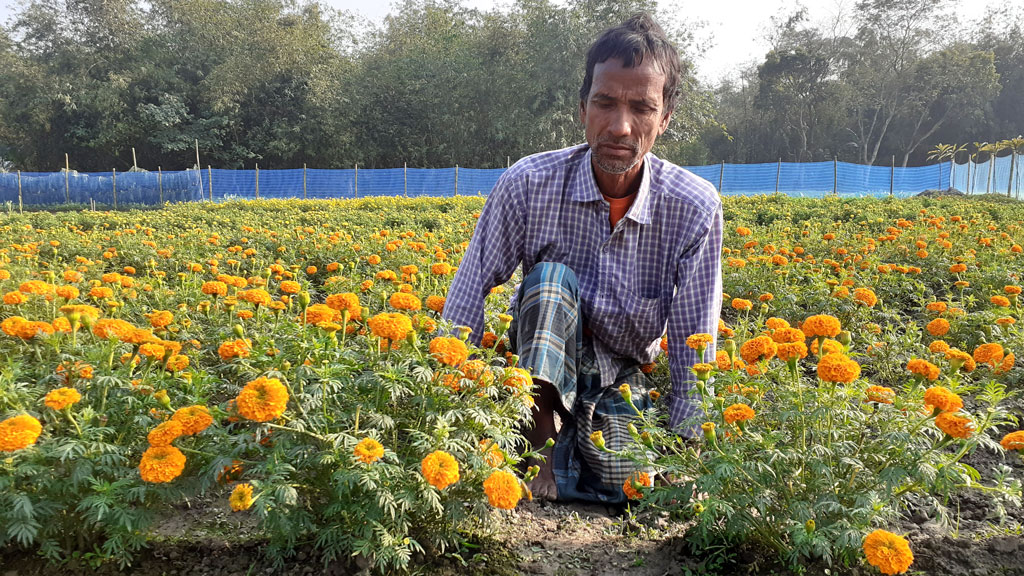 ফুলচাষে ভাগ্যবদল গুপিনাথের