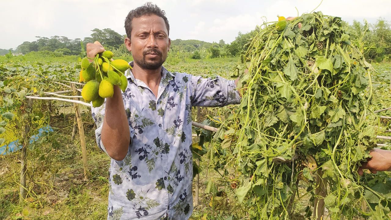 এক রাতেই রাশেদের স্বপ্নভঙ্গ