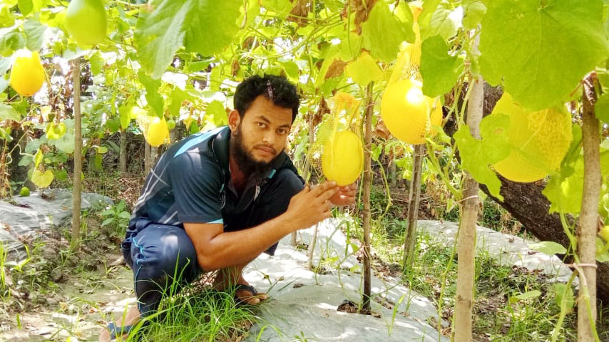 বিদেশি তরমুজের সফল গবেষণা