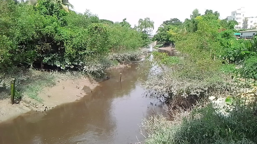 বিষাক্ত বর্জ্যে হালদা দূষণ