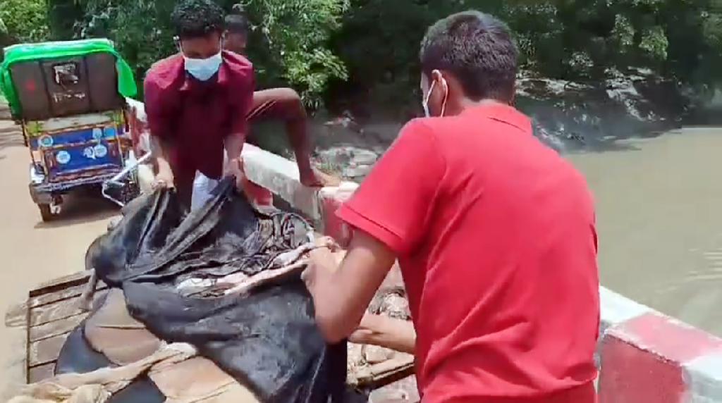 দাম না পেয়ে নদীতে চামড়া ফেলে দিলেন ব্যবসায়ীরা
