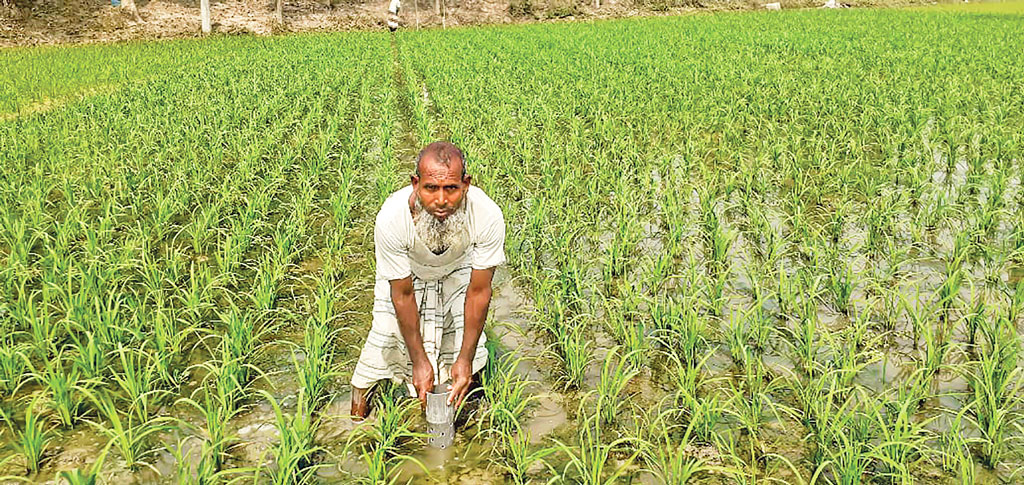 কৃষিও গ্রিনহাউস গ্যাসের উৎস, করণীয় কী