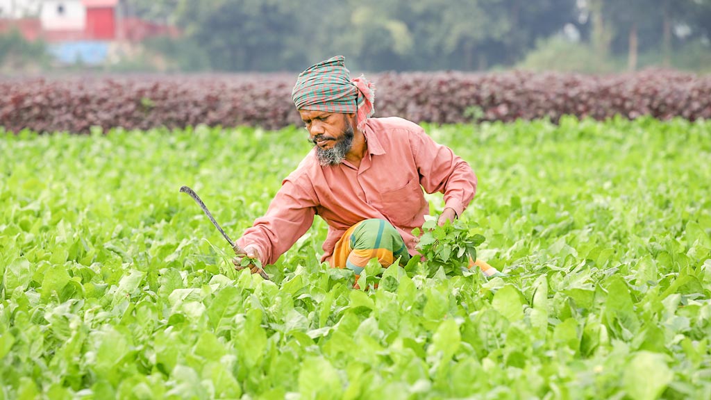 নজিরবিহীন বাস্তবতায় একটি সরকার