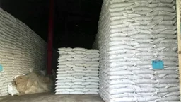 সারের ডিলারে স্বজন তোষণ