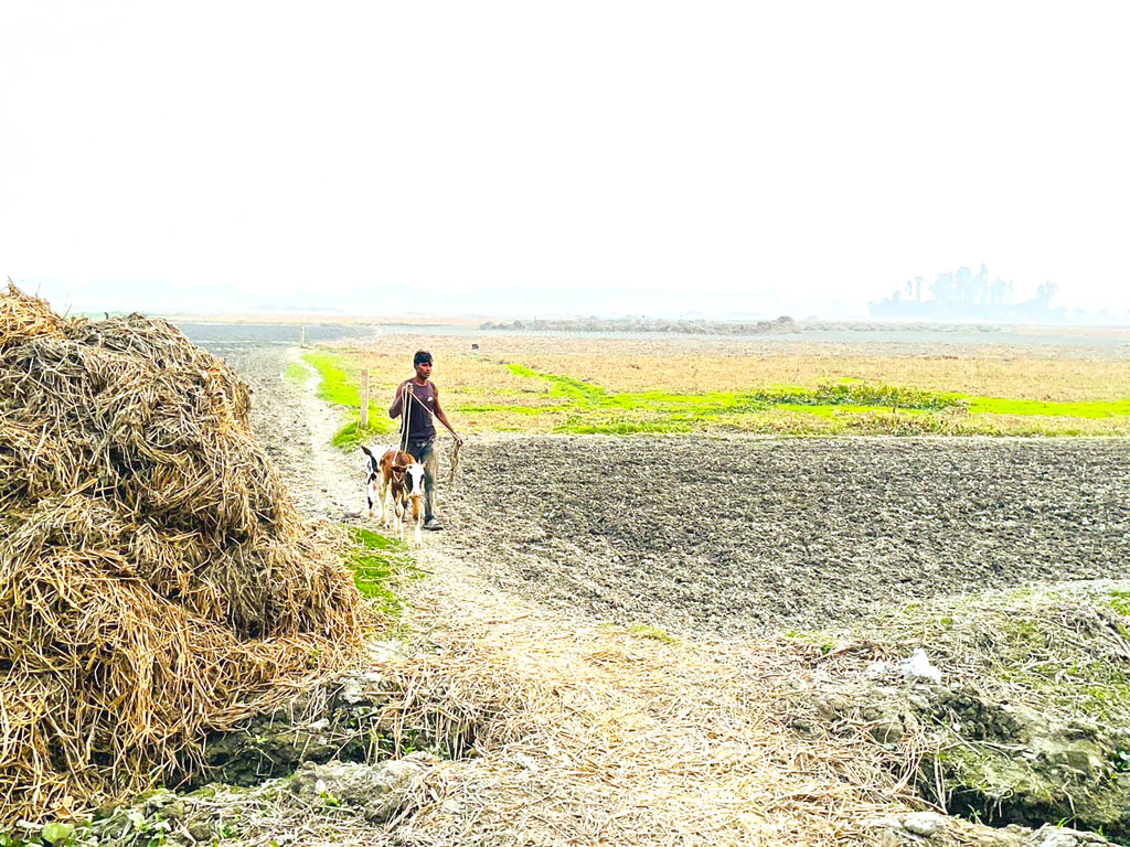 মুন্সিগঞ্জের টঙ্গিবাড়ী: পানিনিষ্কাশন সংকট, চরম ক্ষতির মুখে চাষিরা