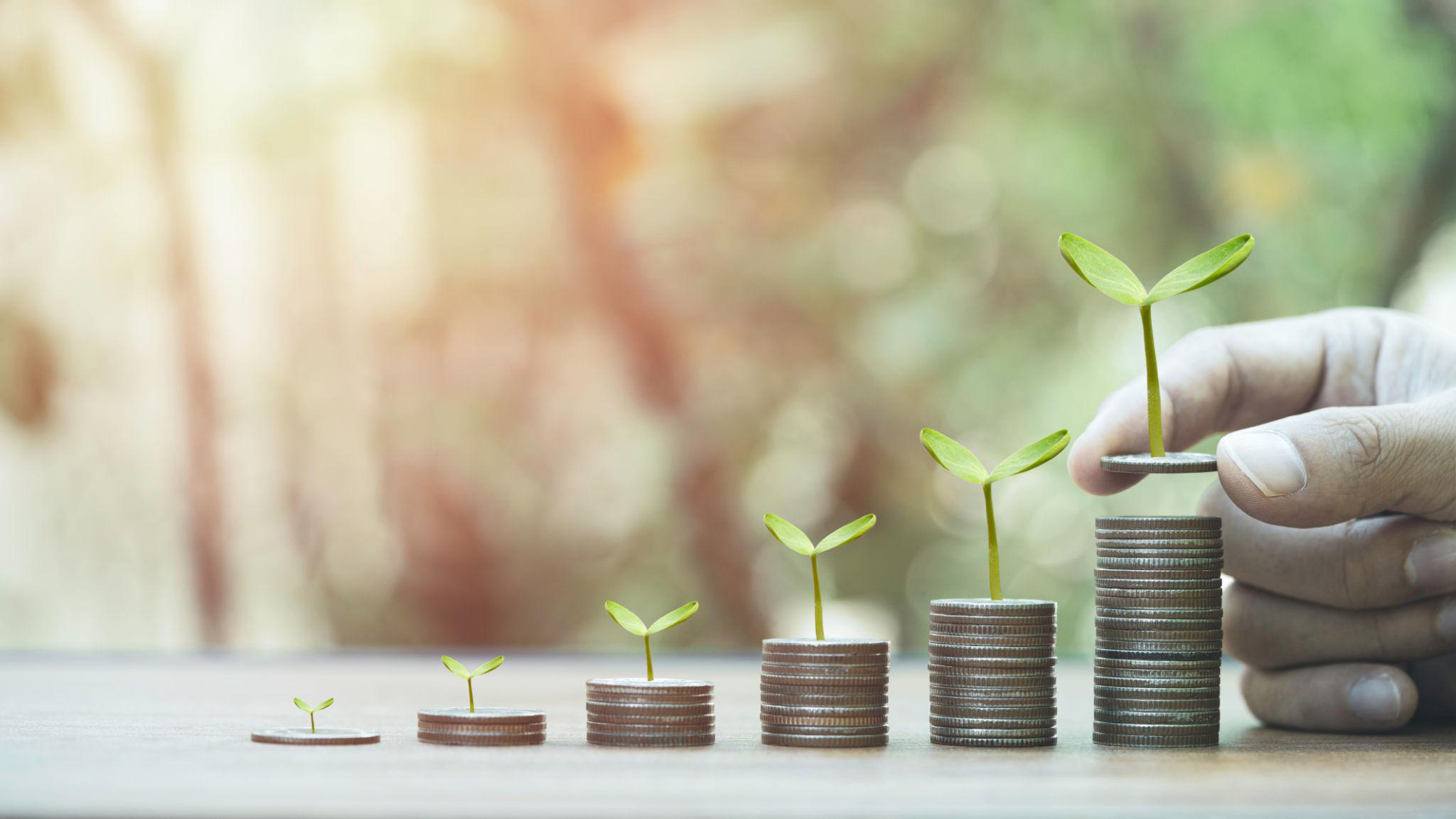 আর্থিক সফলতার ১০টি শিক্ষা