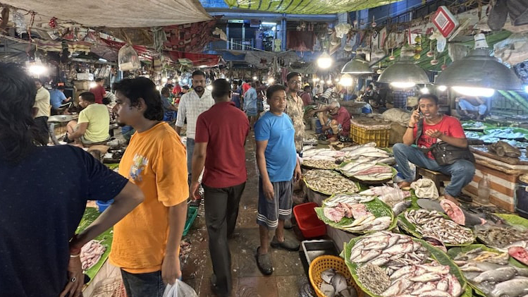 ৫ কেজি ওজনের কাতলা নিয়ে কেন নির্বাচনী প্রচারে নামলেন পশ্চিমবঙ্গের বিজেপি নেতা
