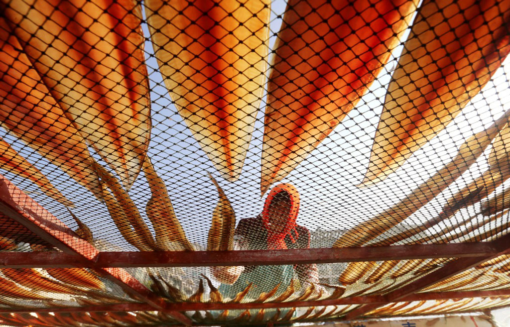 দিনের ছবি (০৩ ডিসেম্বর, ২০২৫)