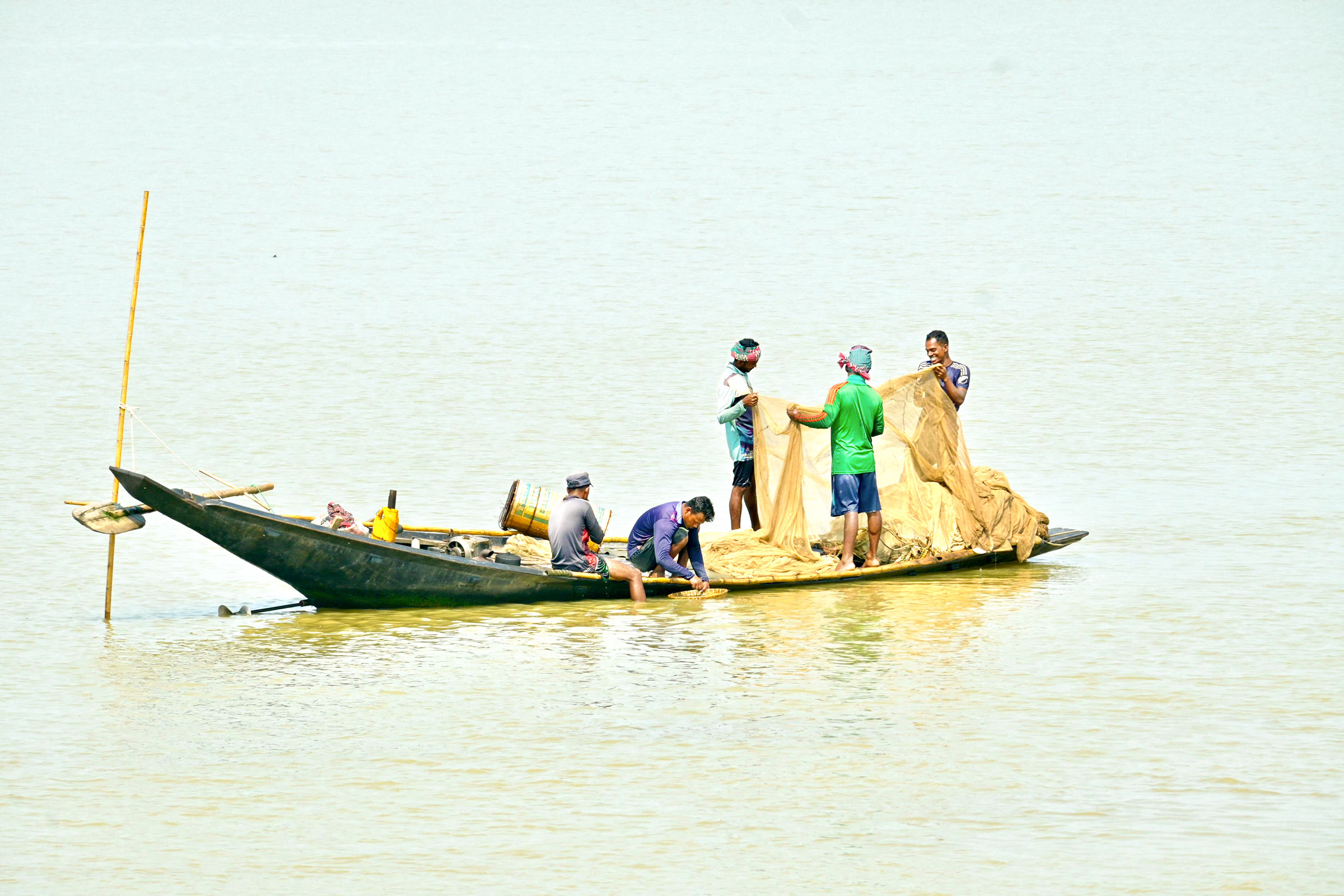 হাওরাঞ্চলে মাছ শিকার: নিষেধাজ্ঞা মানছেন না
হাওরের জেলেরা