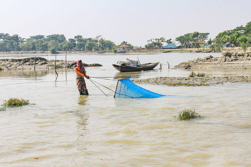 বিশ্বজুড়ে লবণাক্ত জলাভূমি যখন সংকটের মুখে