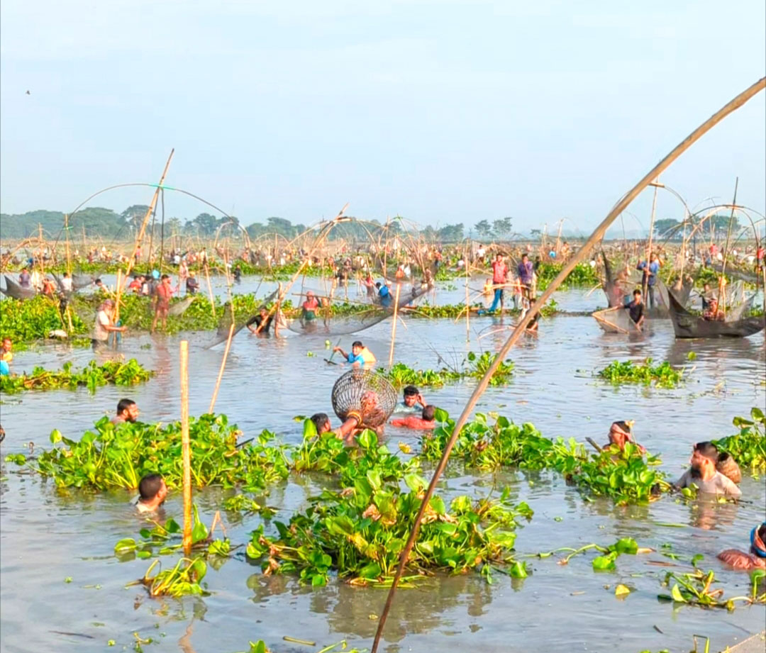 ময়মনসিংহের নান্দাইল: শত বছরের হাইত উৎসবে মাছ শিকারিদের ঢল