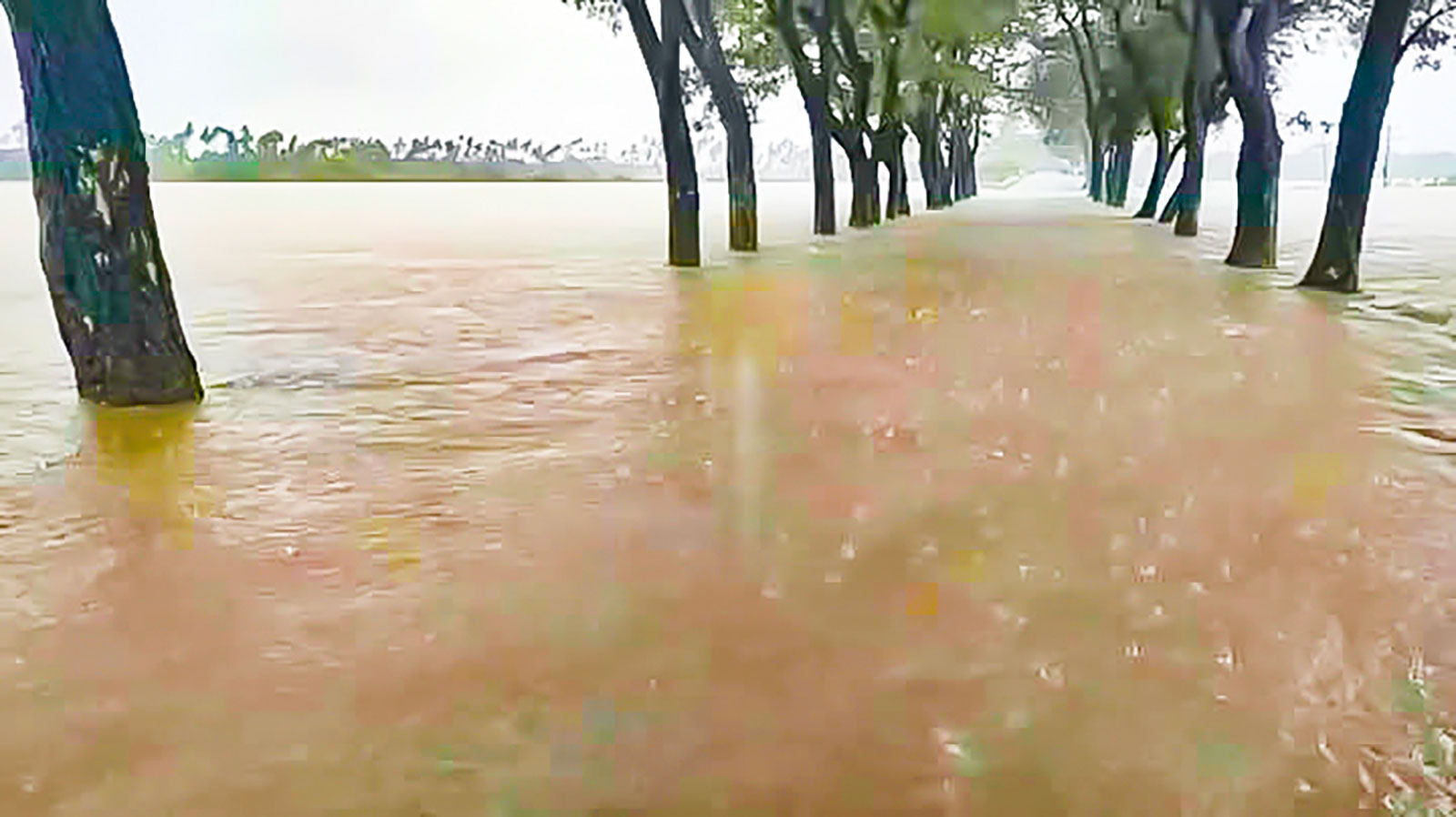 চার জেলায় বন্যার শঙ্কা, ৪ জনের লাশ উদ্ধার