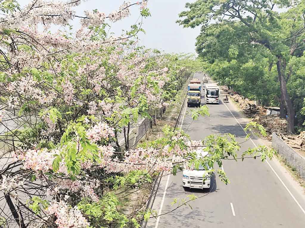 ঢাকা-চট্টগ্রাম মহাসড়ক: ক্লান্তি ভোলায় ফুলের শোভা