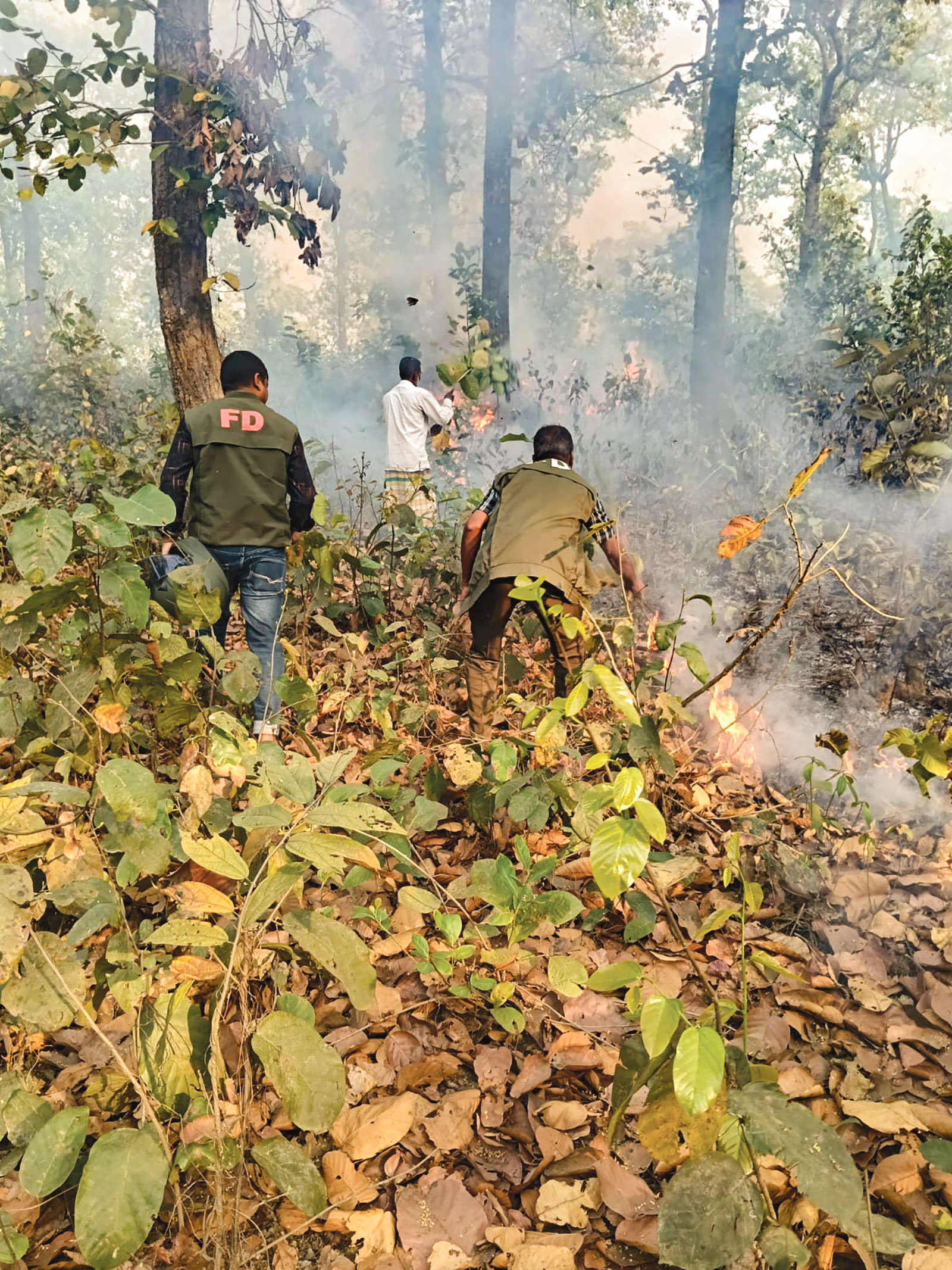 রহস্যময় আগুনে পুড়ছে সংরক্ষিত বন, পাহাড়