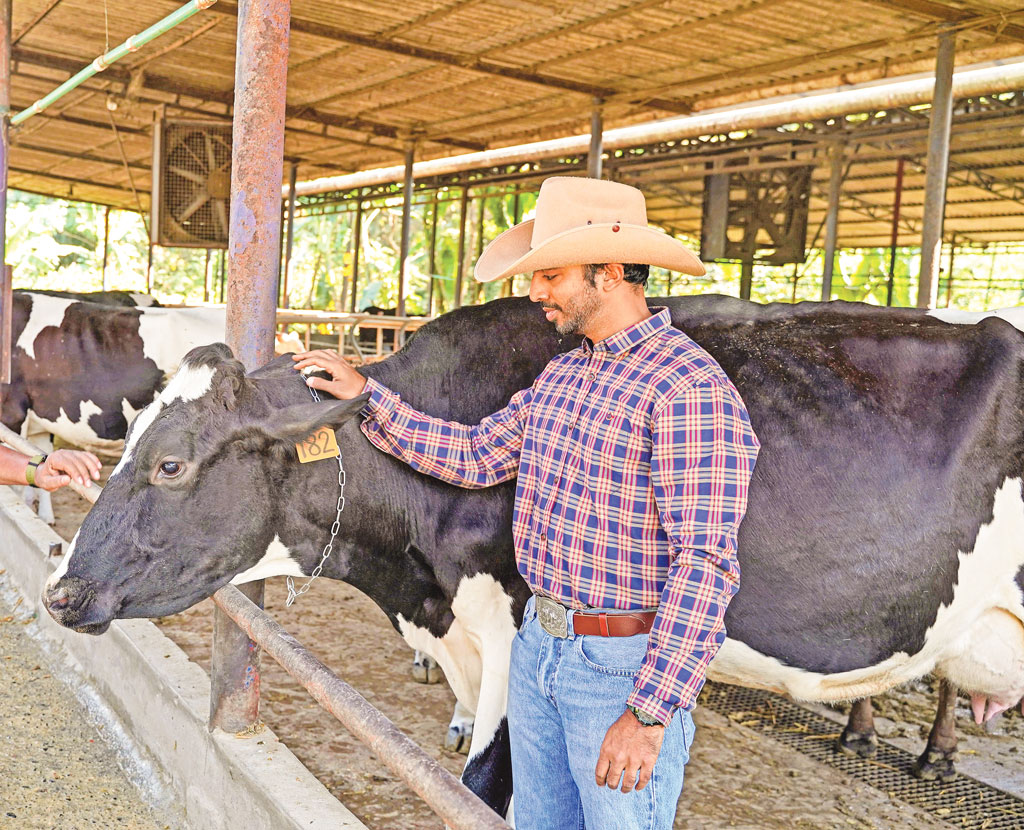 পাহাড়ের সবুজে স্বপ্নের খামার