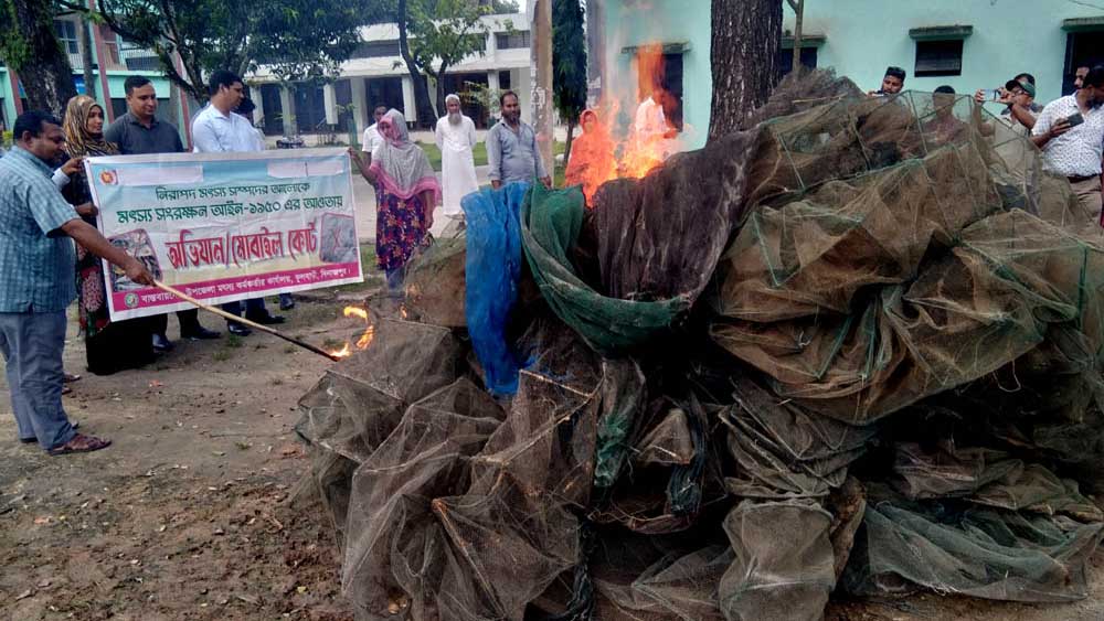 ফুলবাড়ীতে বিপুলসংখ্যক নিষিদ্ধ চায়না দুয়ারি জাল আগুনে পুড়িয়ে ধ্বংস