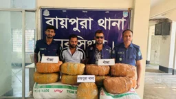 রায়পুরায় ৭০ কেজি গাঁজাসহ মাইক্রোবাস জব্দ, আটক ১