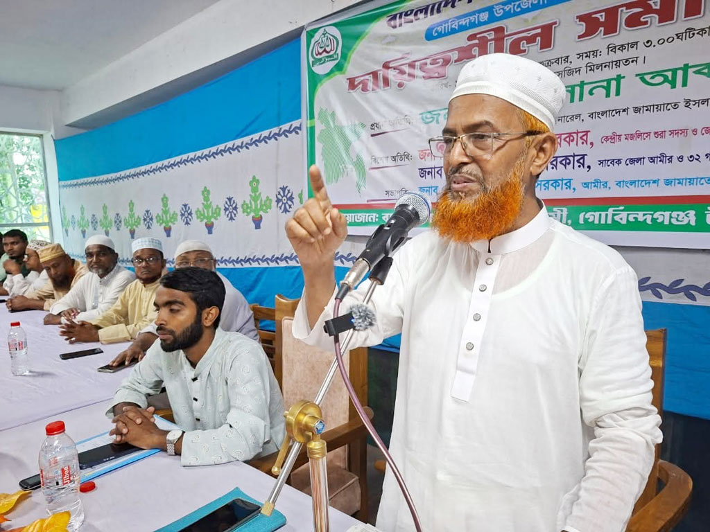 সংখ্যাগরিষ্ঠ আসন পেয়ে জামায়াত সরকার গঠন করবে: হালিম