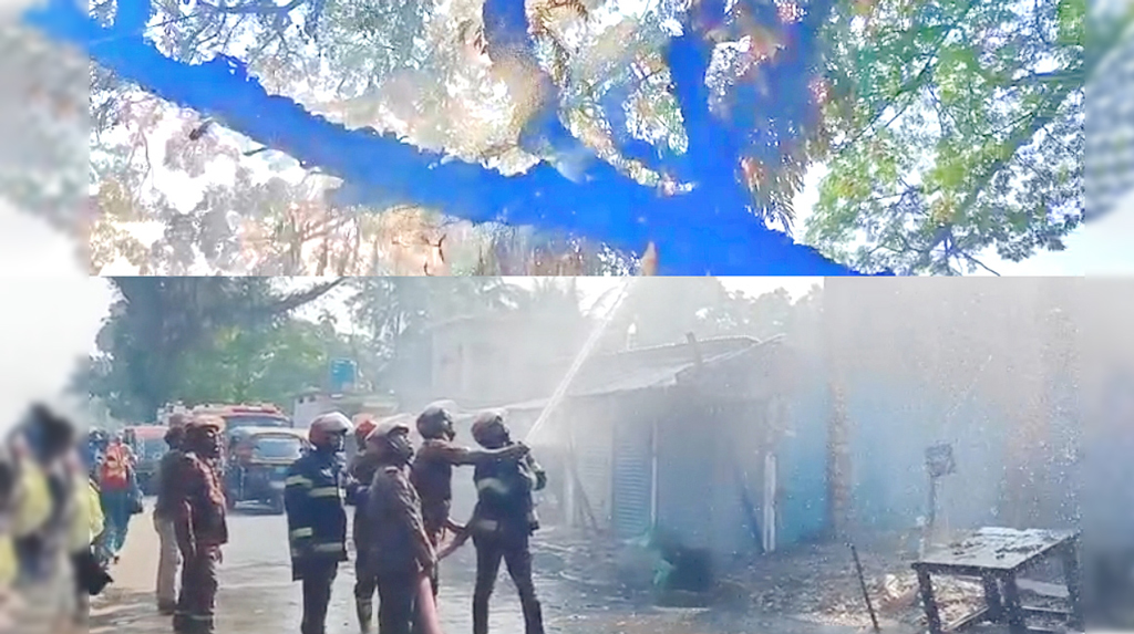 ফকিরহাটে আগুনে পুড়ল শতবর্ষী গাছ