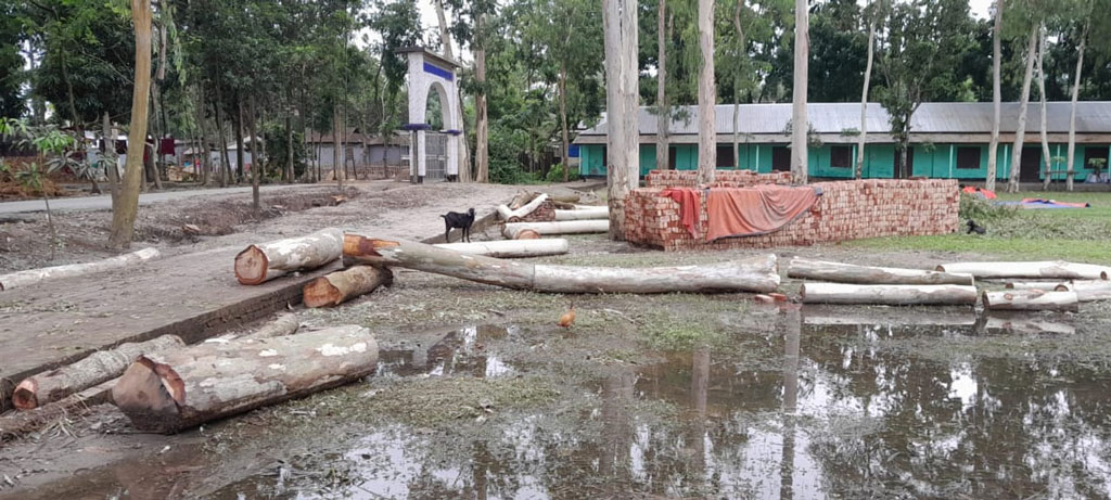 অধ্যক্ষের বিরুদ্ধে অবৈধভাবে গাছ বিক্রির অভিযোগ