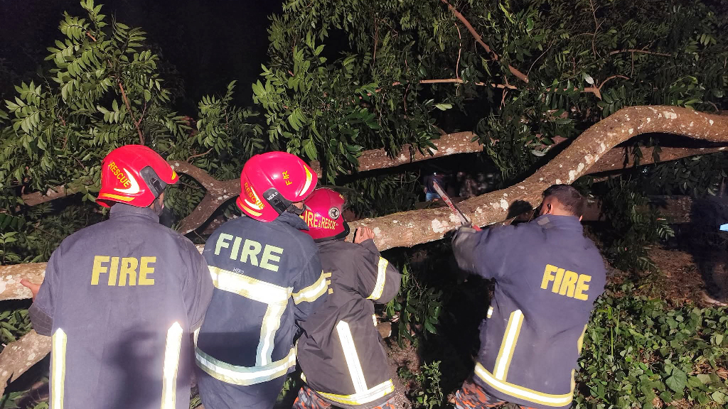 খাগড়াছড়িতে গাছ ফেলে সড়ক অবরোধ