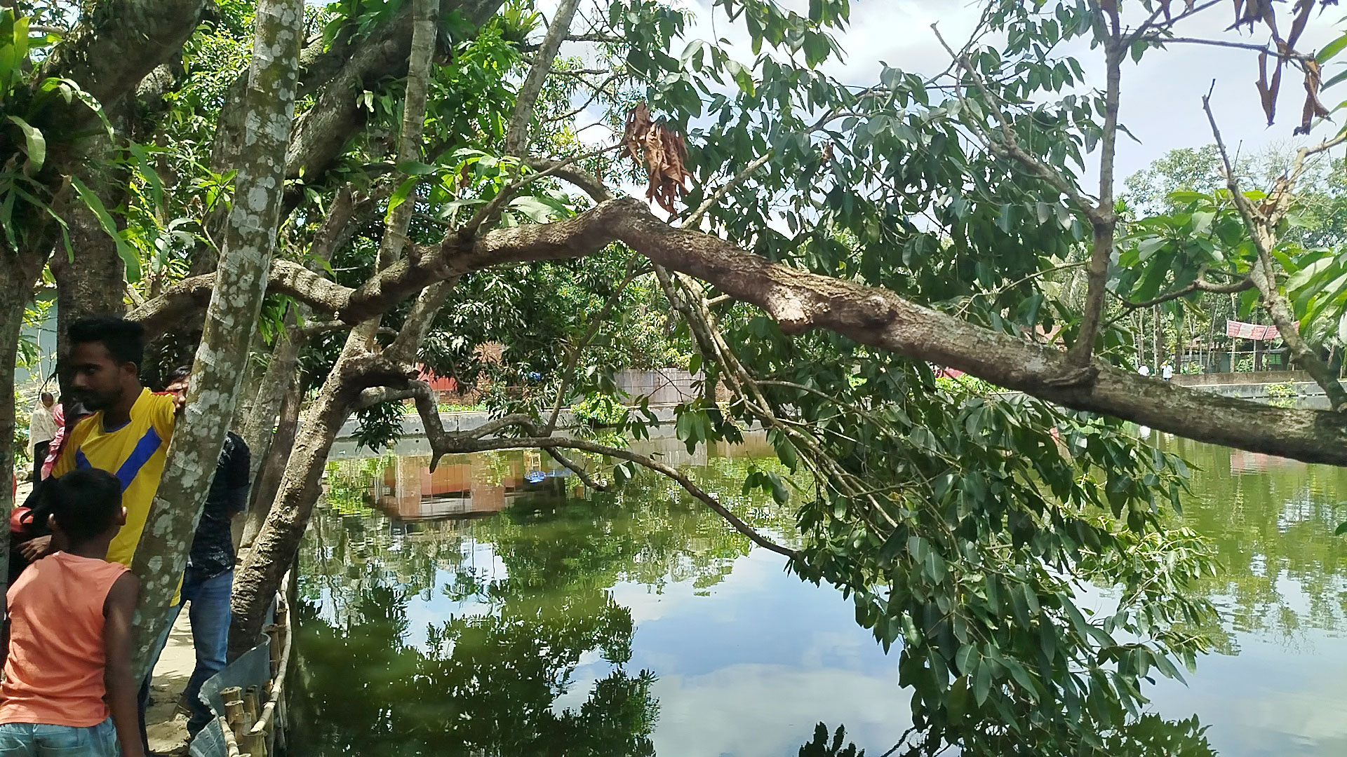 পুকুরপাড়ের গাছ থেকে ‘প্যারালাইজড’ বৃদ্ধার ঝুলন্ত লাশ উদ্ধার