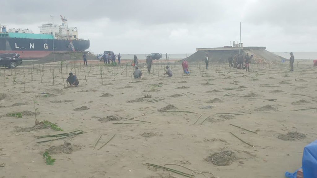 গুঁড়িয়ে দেওয়া হলো জাহাজভাঙা কারখানা, পরে দুই হাজার গাছের চারা রোপণ