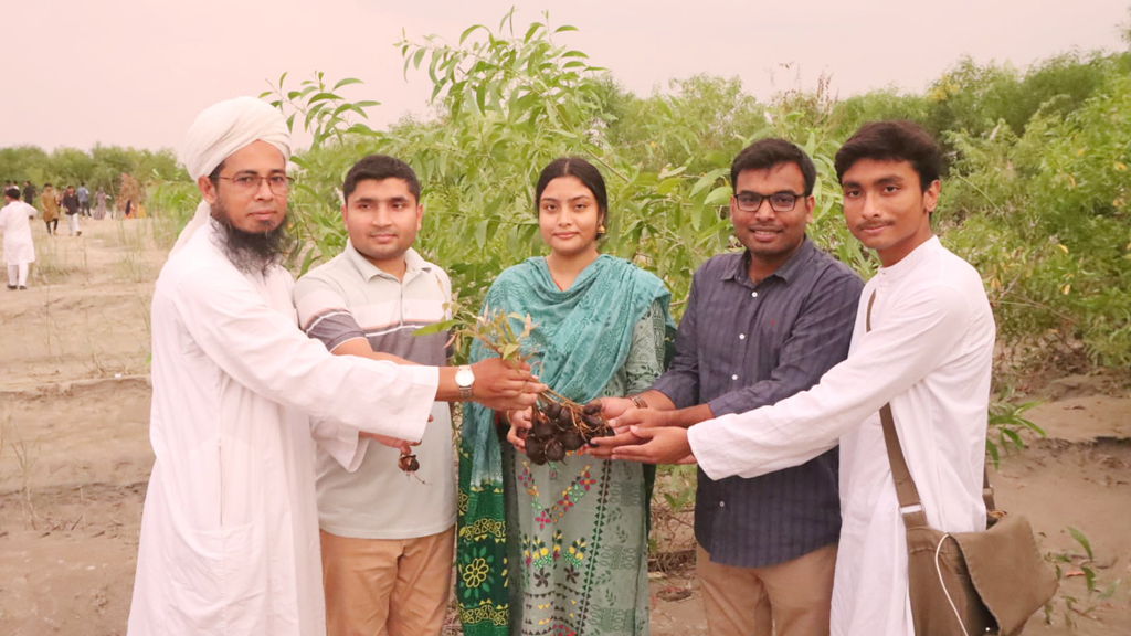 বিয়েতে উপহার সুন্দরবনের ১৫০০ গাছের চারা, স্থান পেল রাজশাহীর পদ্মার চরে