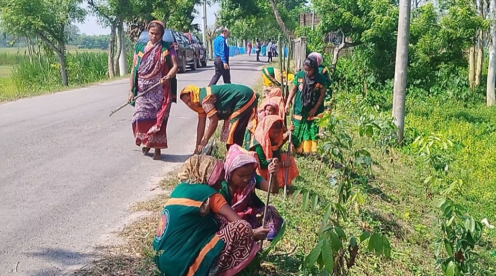 ঘিওরে সড়কের পাশে নতুন চারা রোপণ