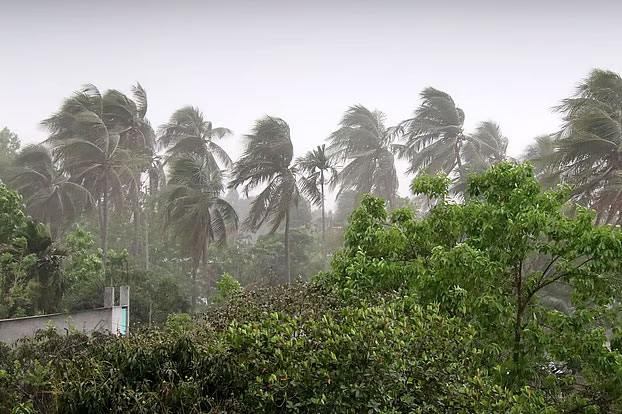 ঢাকাসহ উত্তর পূর্বাঞ্চলে কালবৈশাখীর তাণ্ডব, জামালপুরে বজ্রপাতে শিক্ষার্থীর মৃত্যু