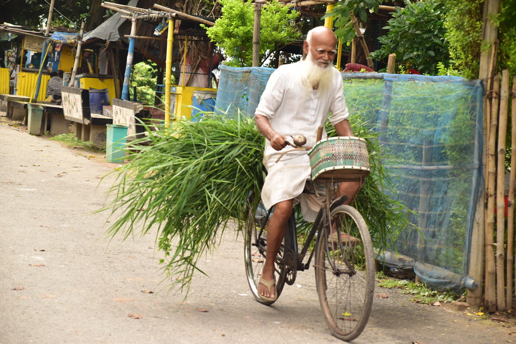 দিনের ছবি (২৪ জুন, ২০২৫)