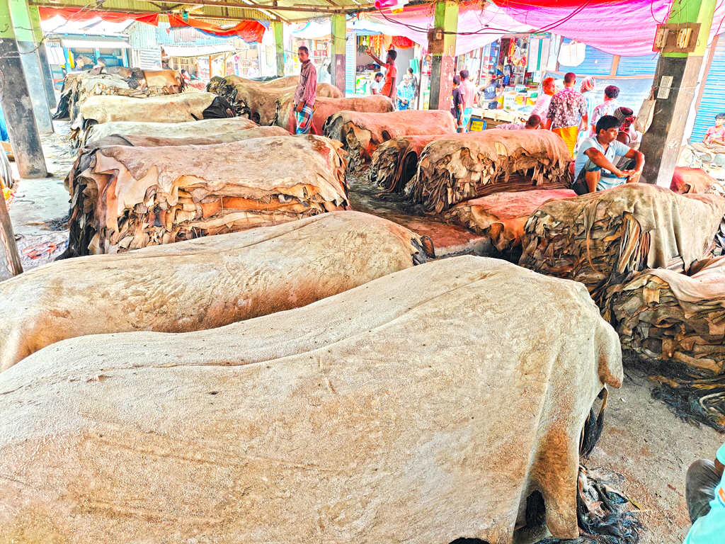 পলাশবাড়ীর কালীবাড়ী হাট: ক্রেতাশূন্য চামড়ার মোকাম