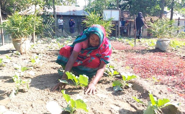 ভাগ্যবদলের স্বপ্নে ছুটছেন গাইবান্ধার চরাঞ্চলের নারীরা