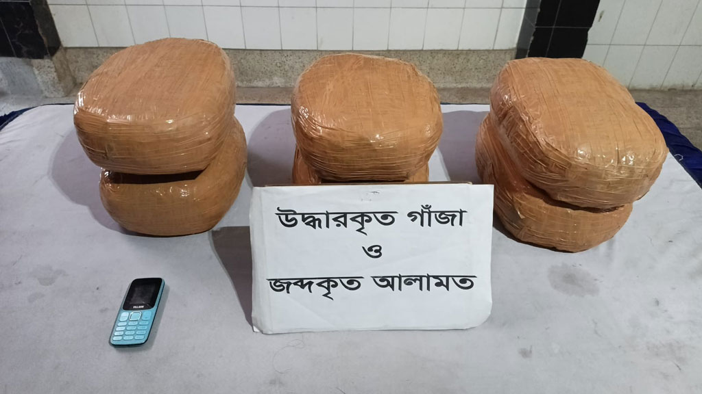 যাত্রাবাড়ীতে ১৫ কেজি গাঁজাসহ যুবক গ্রেপ্তার