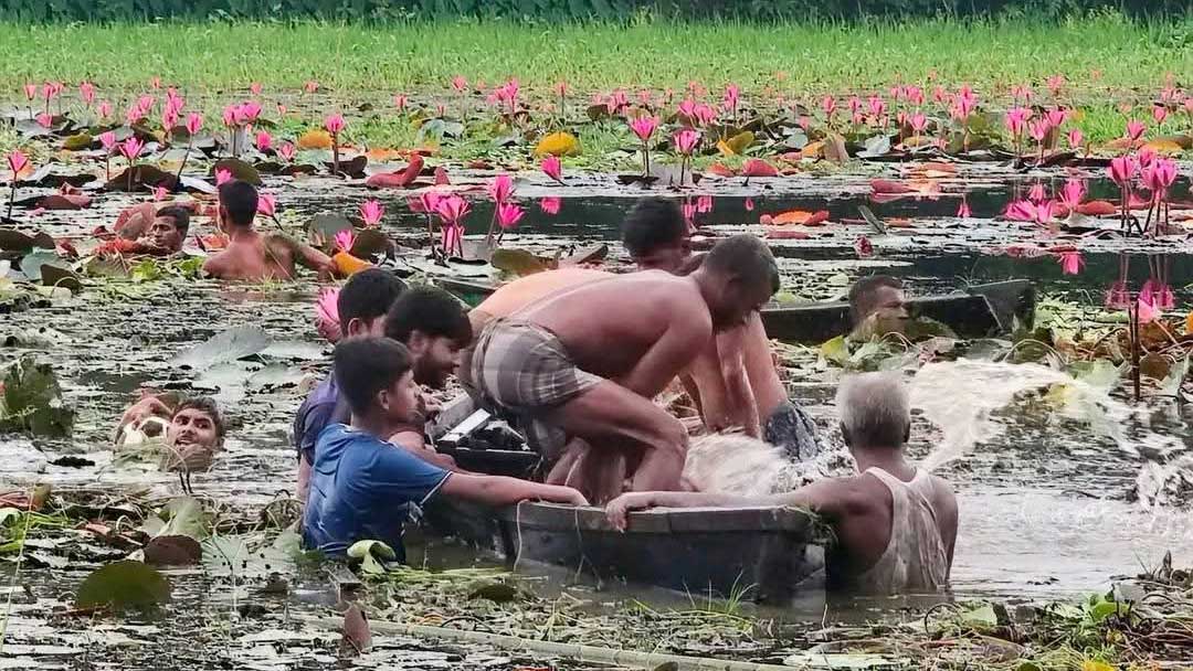 শাপলা বিলে ঘুরতে গিয়ে প্রাণ গেল দুজনের